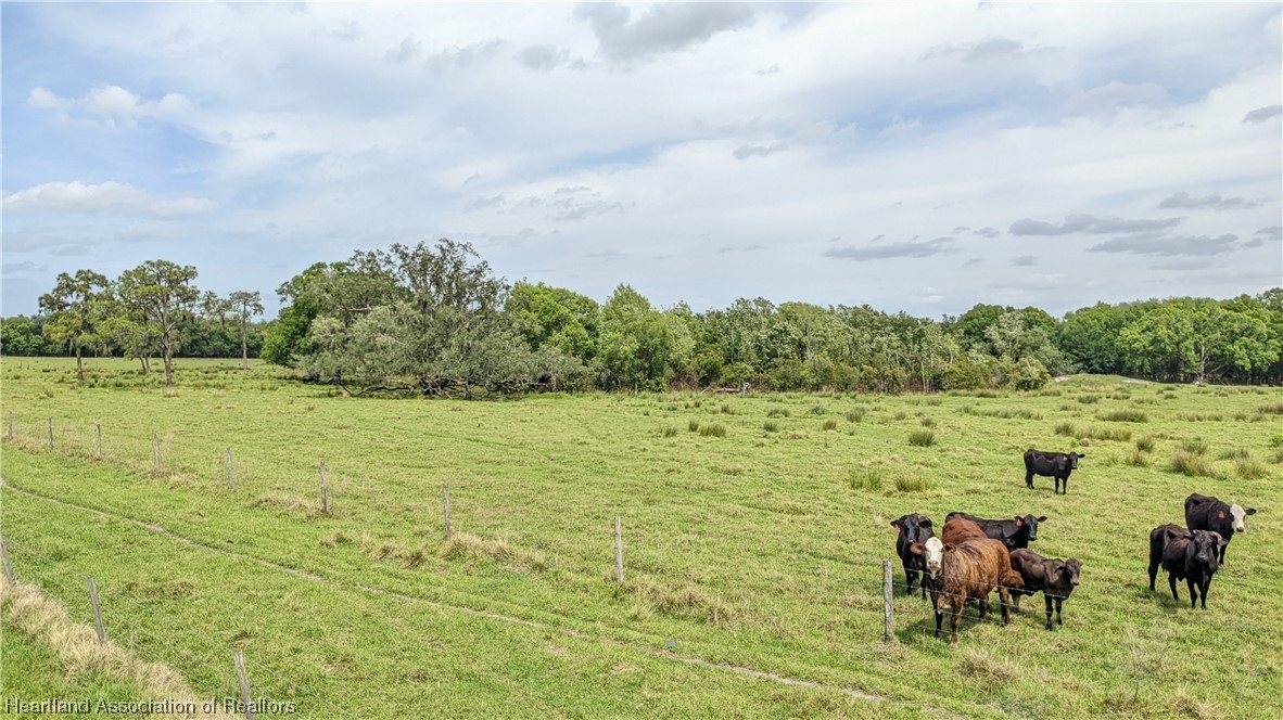 585 North Bailey Road Wauchula, FL 33873 - Photo 21 of 36 Gallery Image 21