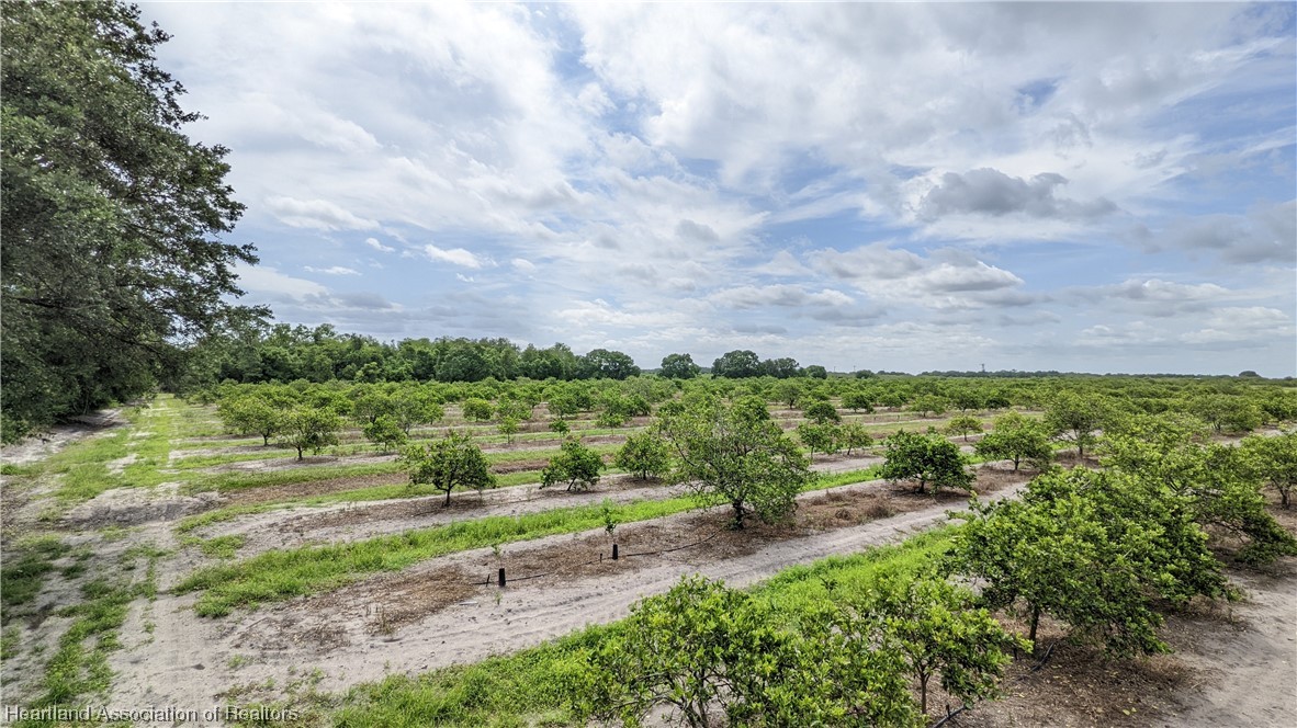 585 North Bailey Road Wauchula, FL 33873 - Photo 22 of 36 Gallery Image 22