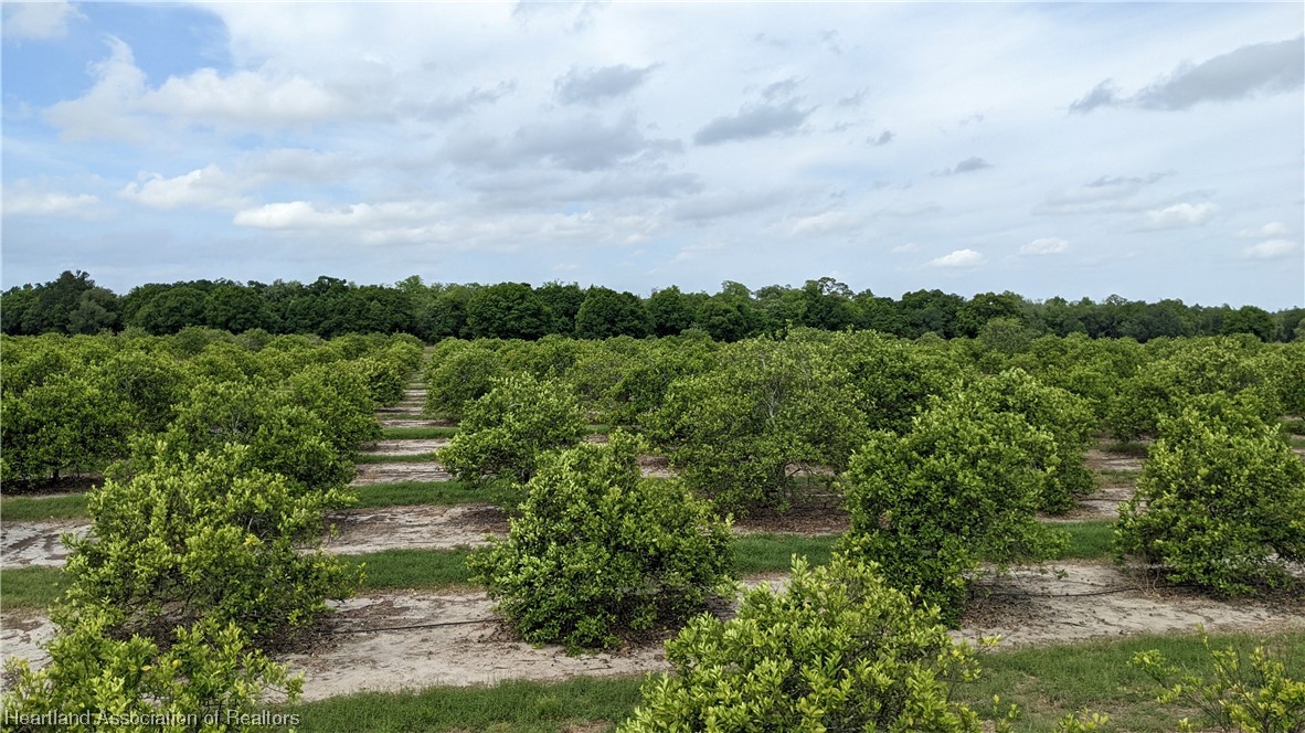 585 North Bailey Road Wauchula, FL 33873 - Photo 24 of 36 Gallery Image 24