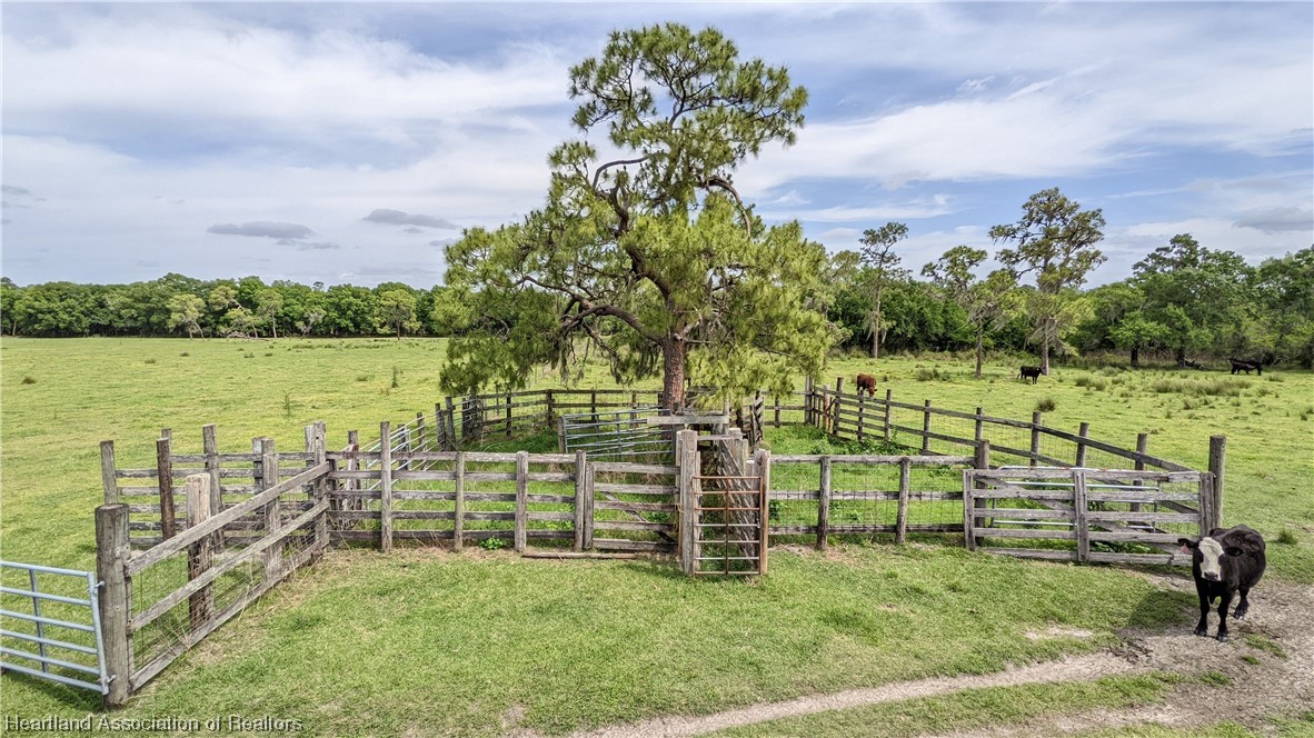 585 North Bailey Road Wauchula, FL 33873 - Photo 26 of 36 Gallery Image 26