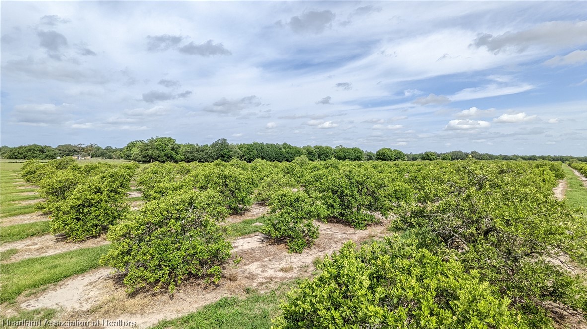585 North Bailey Road Wauchula, FL 33873 - Photo 29 of 36 Gallery Image 29