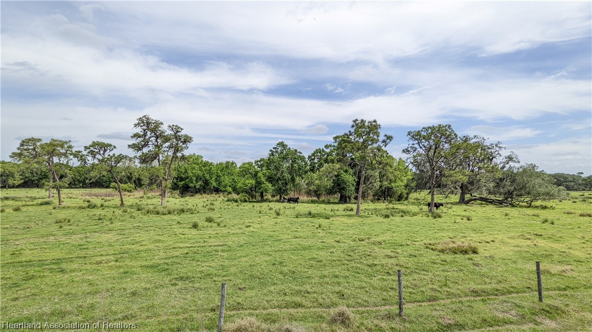 585 North Bailey Road Wauchula, FL 33873 - Photo 30 of 36 Gallery Image 30