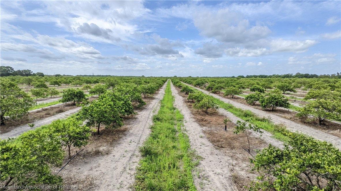 585 North Bailey Road Wauchula, FL 33873 - Photo 36 of 36 Gallery Image 36