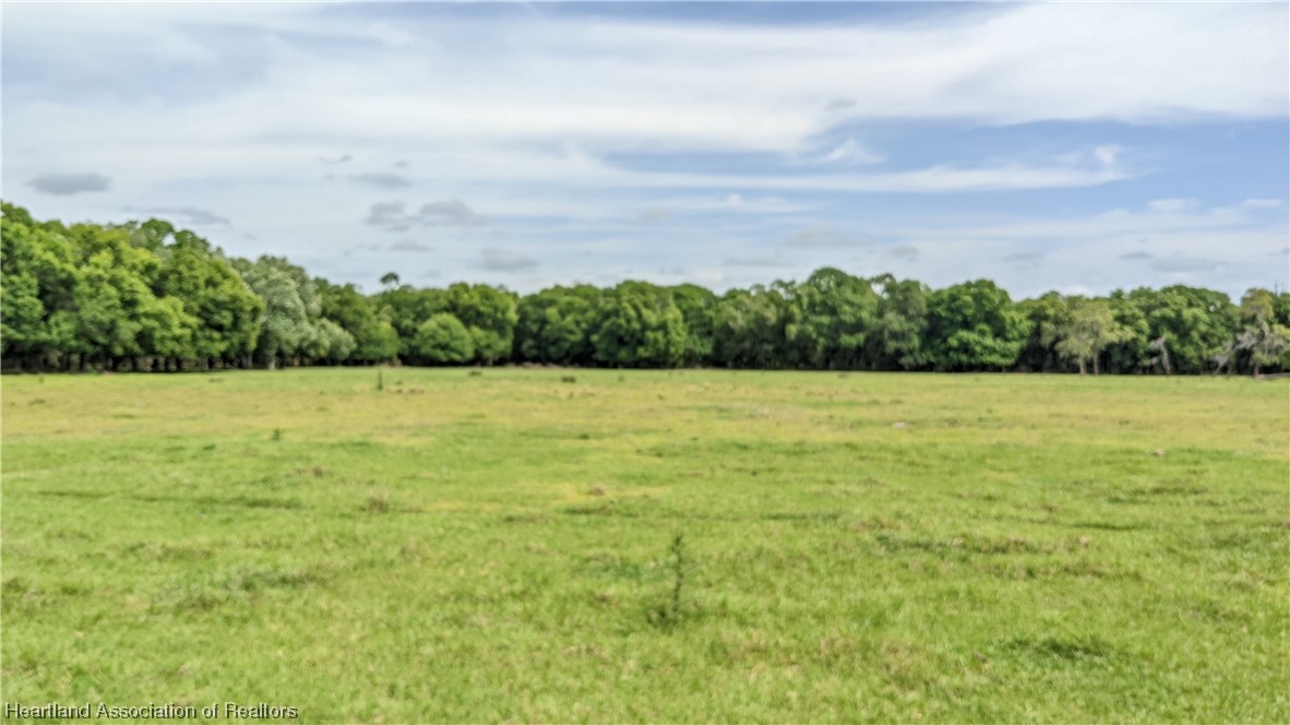 585 North Bailey Road Wauchula, FL 33873 - Photo 9 of 36 Gallery Image 9