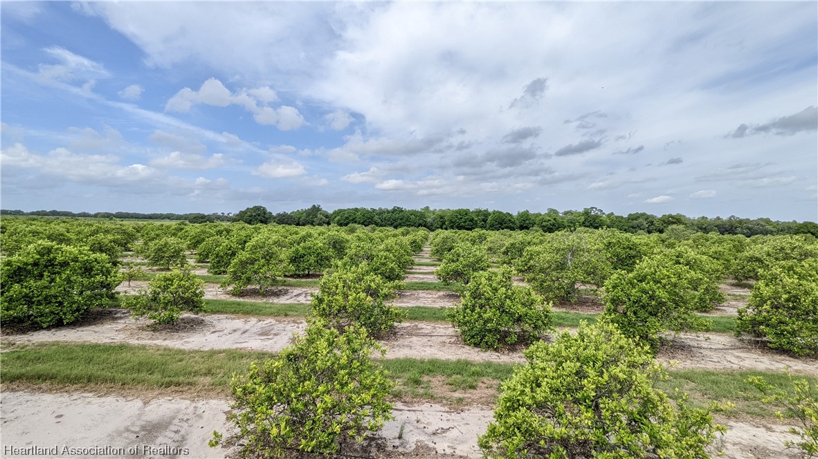 585 North Bailey Road Wauchula, FL 33873 - Photo 10 of 36 Gallery Image 10