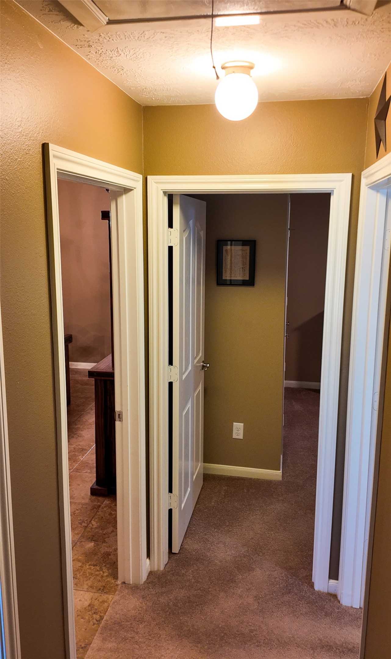 3707 Morgan Lane Manvel, TX 77578 - Photo 16 of 27