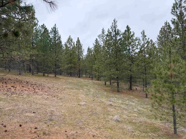 $199,950 | Nine West Bernhill Road, Nine Mile Falls, WA 99026