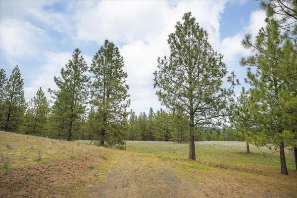 $199,950 | Nine West Bernhill Road, Nine Mile Falls, WA 99026