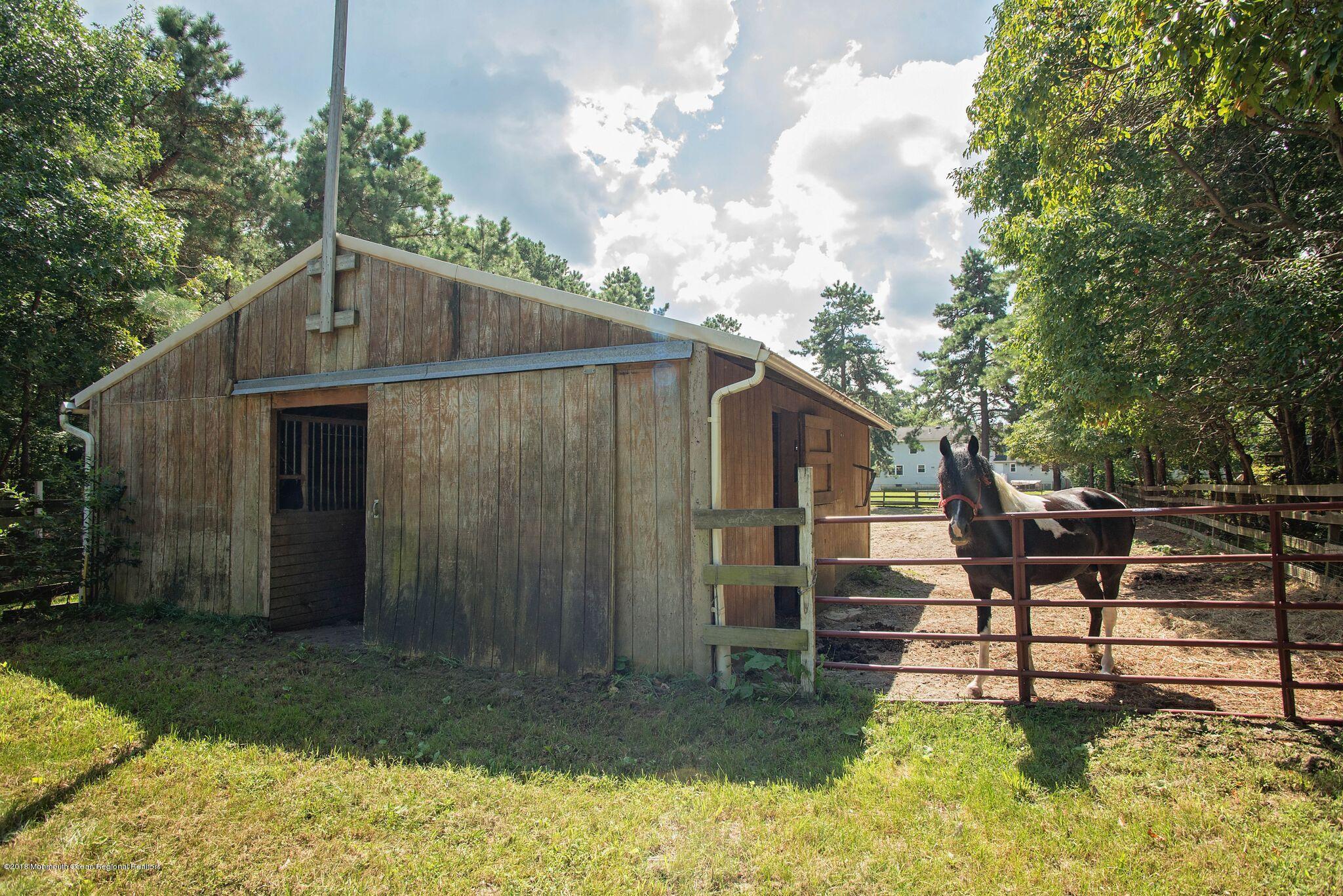 966 Farmingdale Road Jackson, NJ 08527 - Photo 23 of 26 farmingdale horse