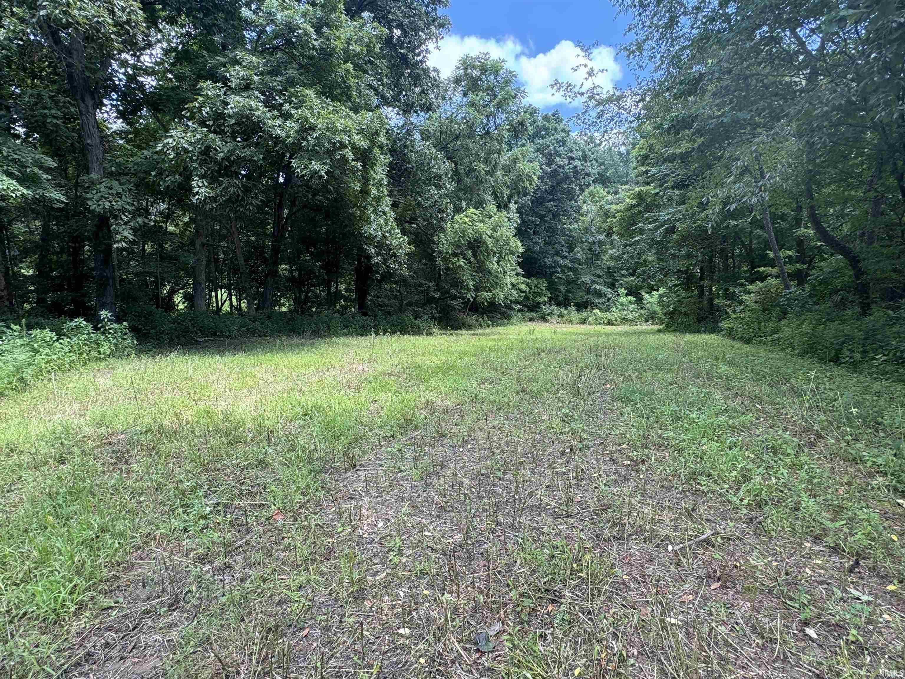 0 Newark Road Solsberry, IN 47459 - Photo 18 of 30