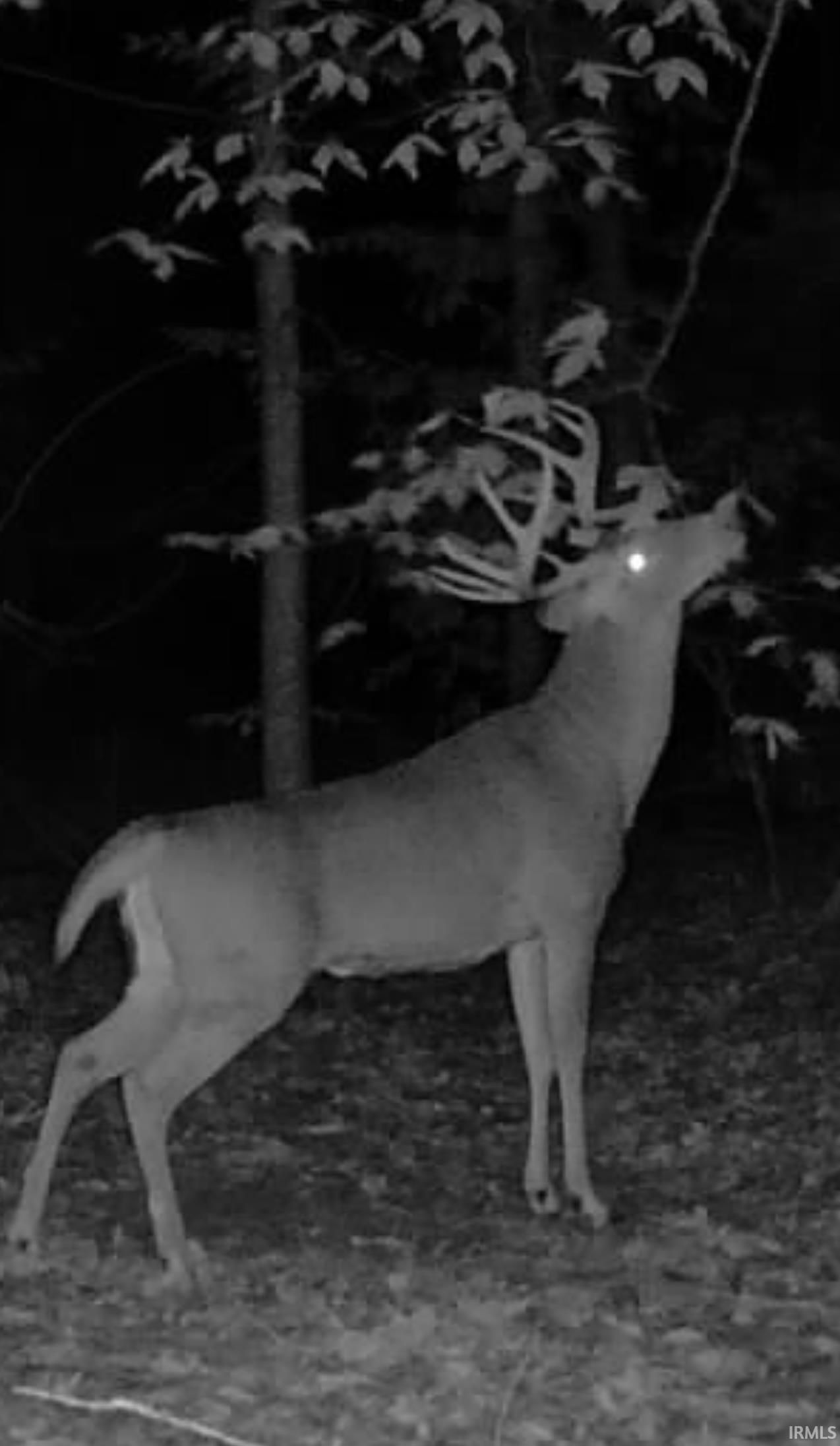 1 Newark Road Solsberry, IN 47459 - Photo 2 of 32