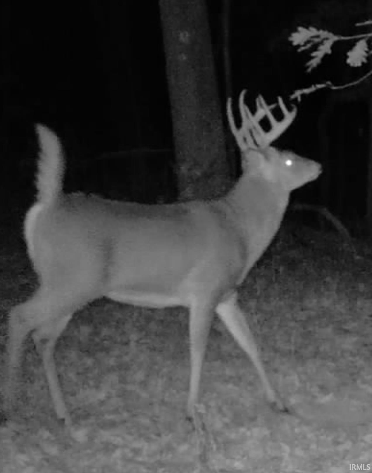 1 Newark Road Solsberry, IN 47459 - Photo 7 of 32