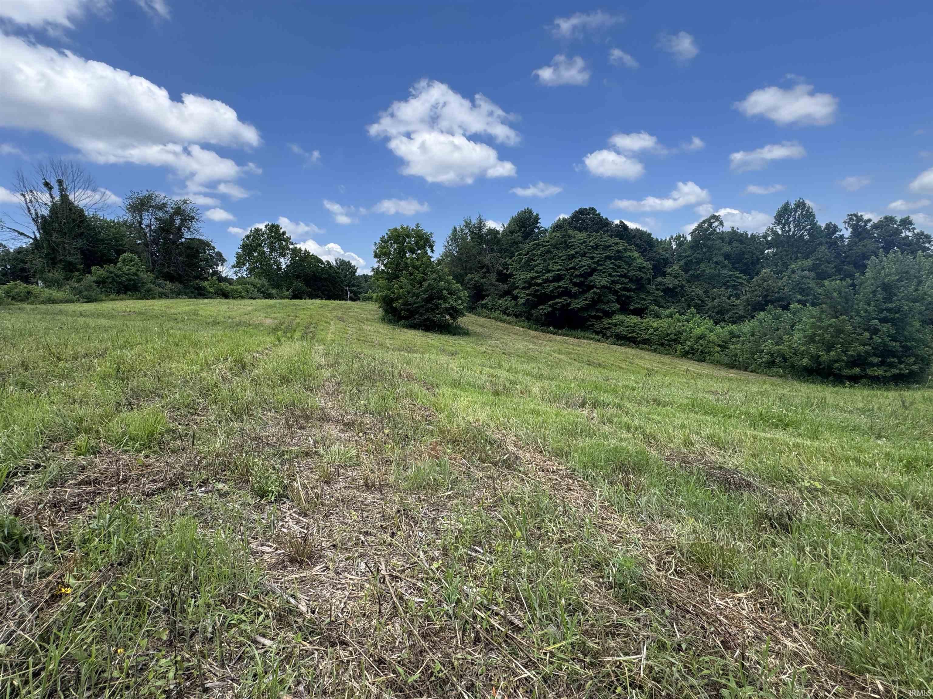 0 Newark Road Solsberry, IN 47459 - Photo 10 of 30