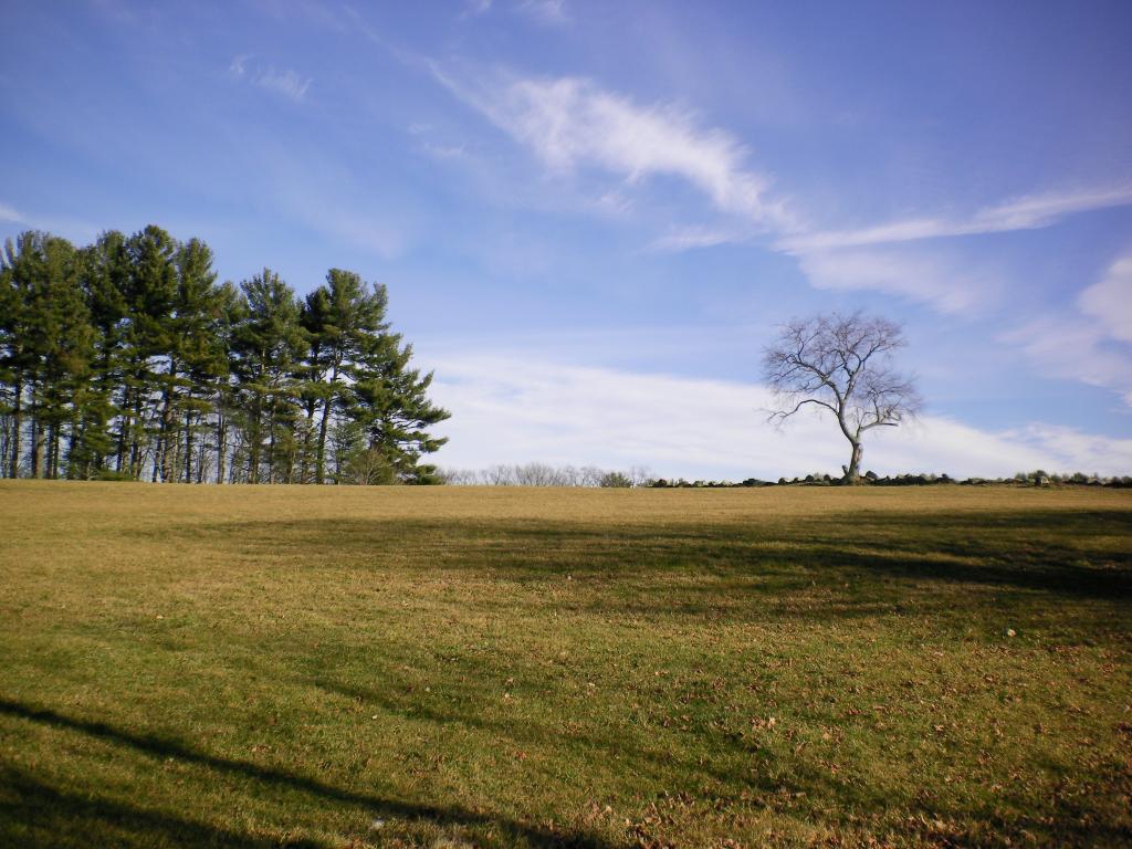 140 Tilton Hill Road Pittsfield, NH 03263 - Photo 8 of 26