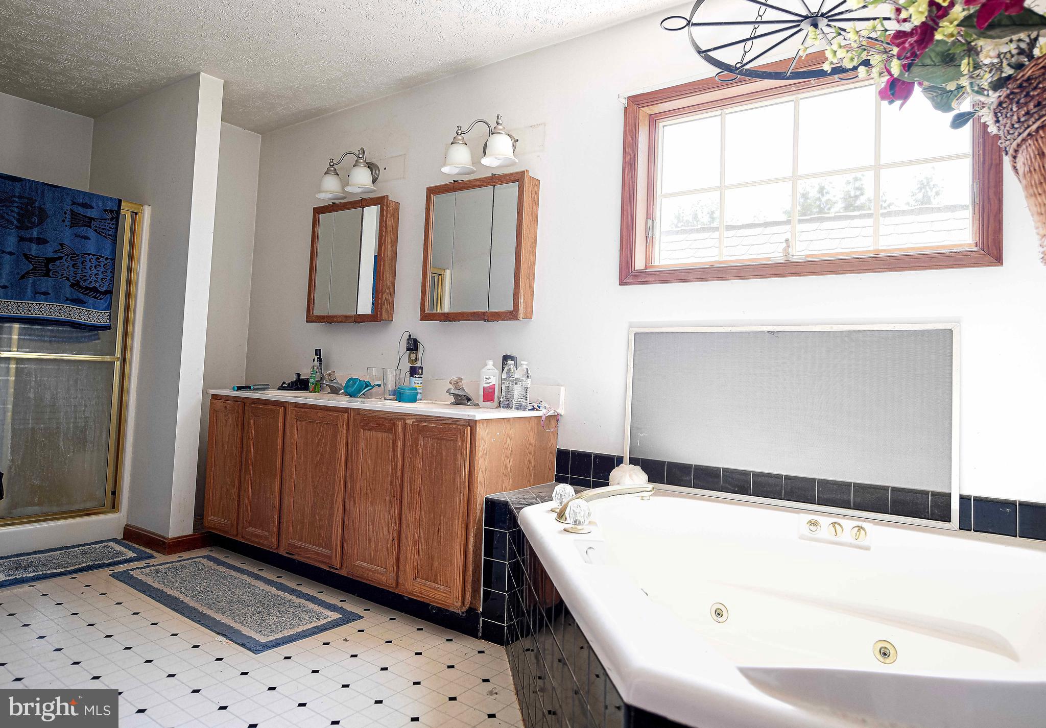 54 Mt Olivet Road Rising Sun, MD 21911 - Photo 18 of 66 a bathroom with a tub sink and mirror