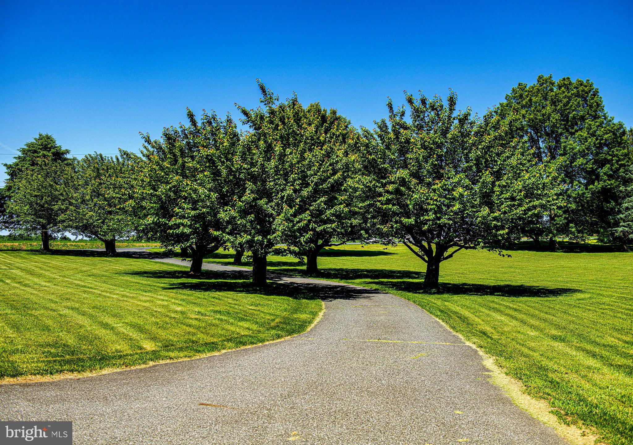 54 Mt Olivet Road Rising Sun, MD 21911 - Photo 54 of 66 a view of a park with large trees