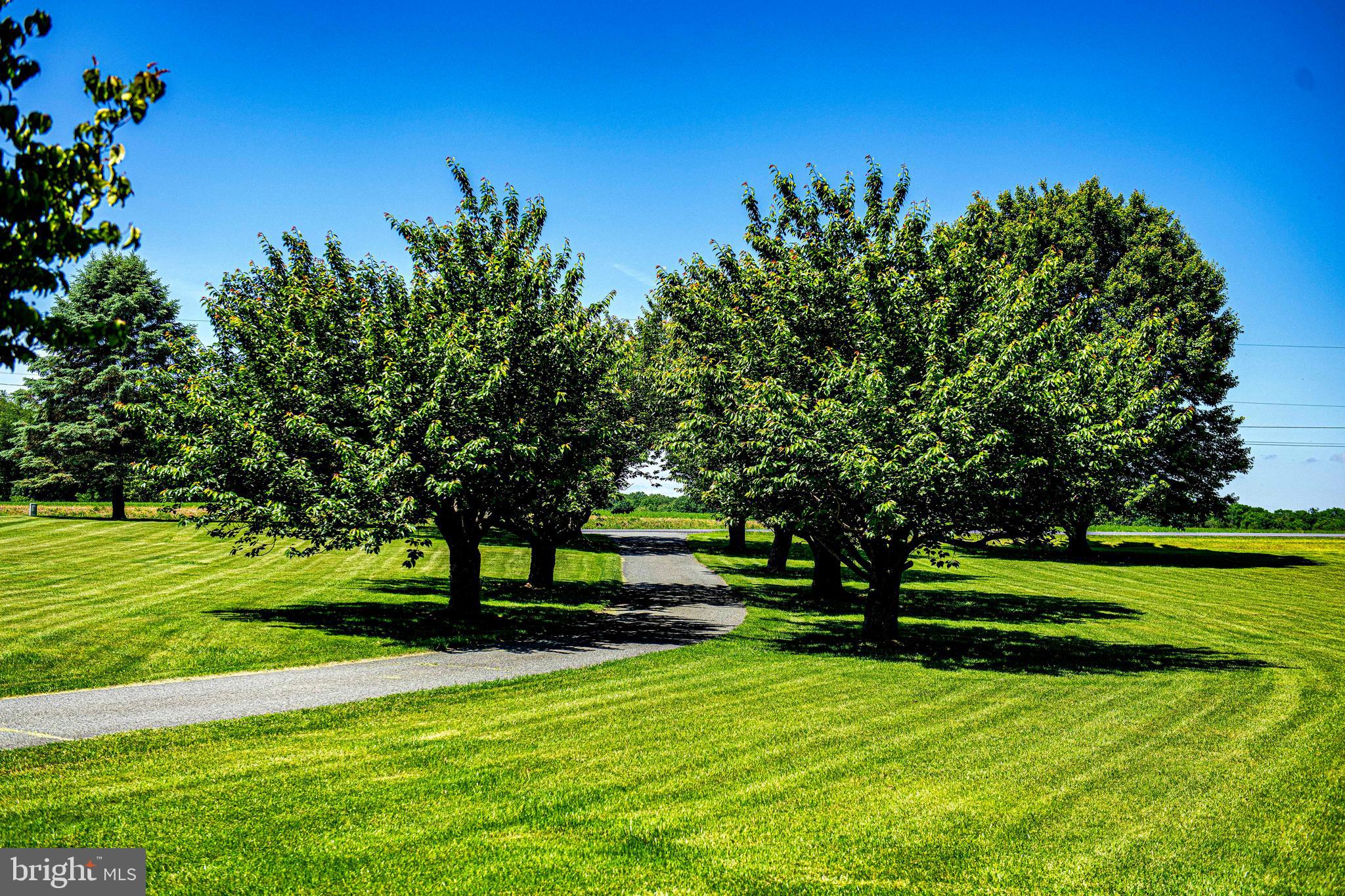 54 Mt Olivet Road Rising Sun, MD 21911 - Photo 55 of 66 a view of a park with large trees