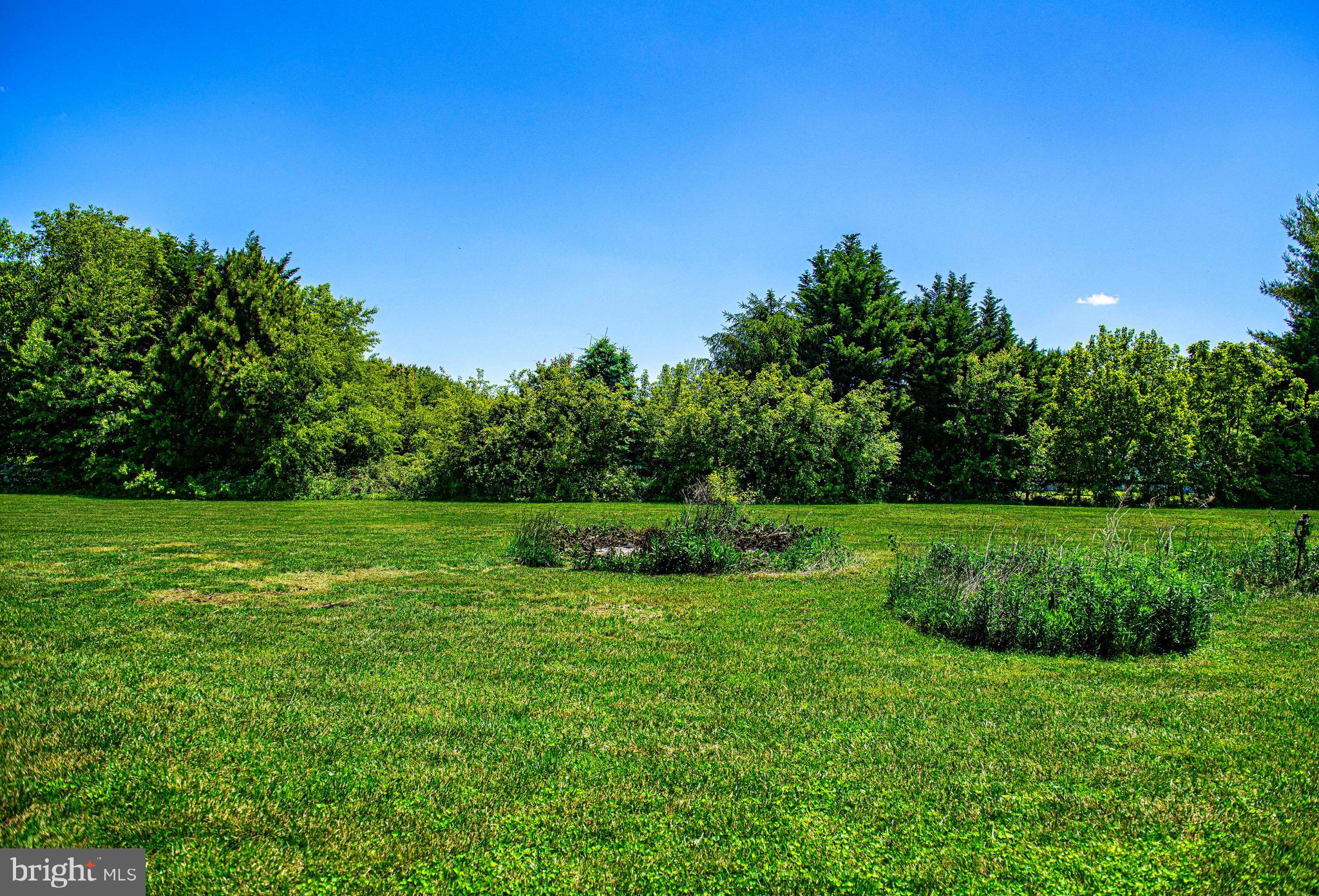 54 Mt Olivet Road Rising Sun, MD 21911 - Photo 56 of 66 a view of a garden with large trees