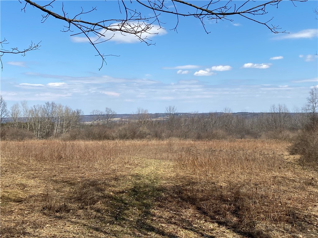 3166 Minerva Drive Branchport, NY 14418 - Photo 1 of 1