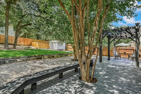 a view of a yard with plants and trees