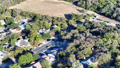 a picture of flowers