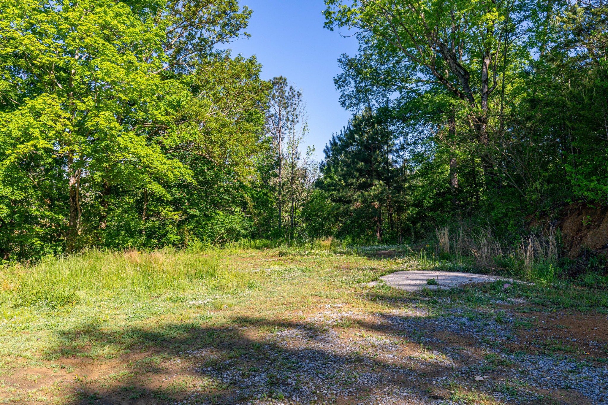 275 Booger Branch Road Crandall, GA 30711 - Photo 37 of 38 Gallery Image 37