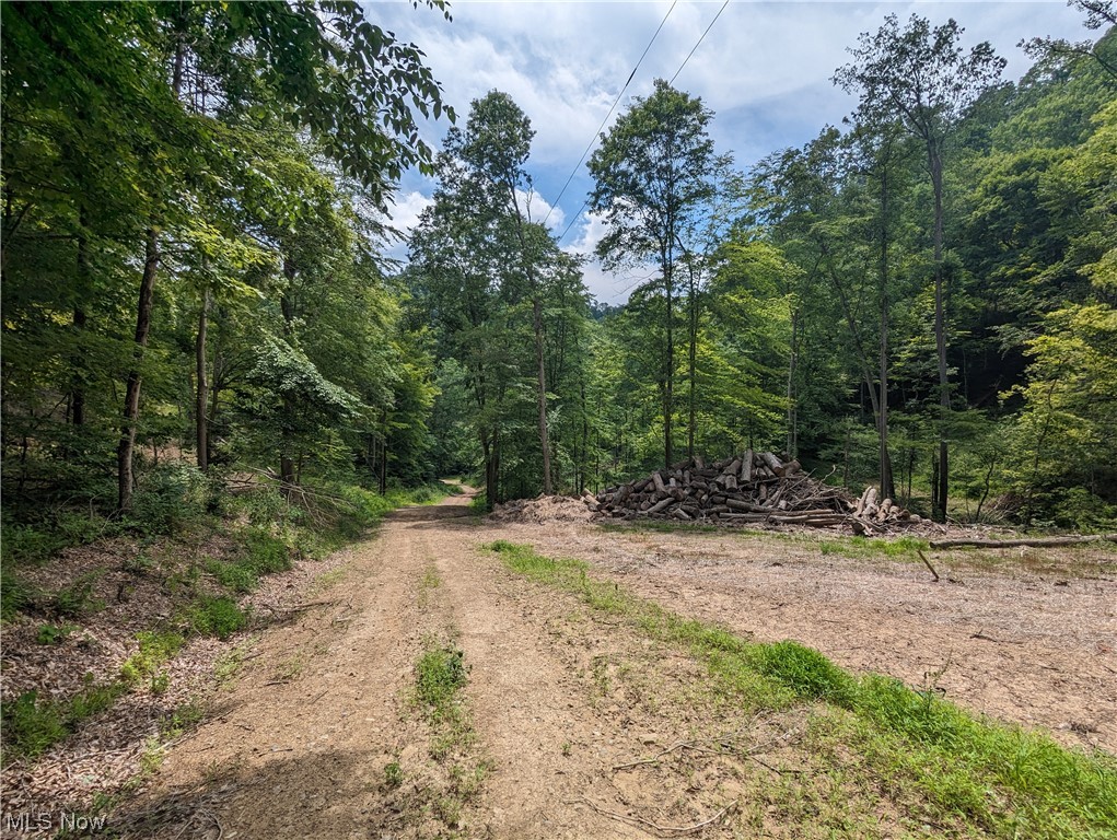 4101 Sand Ridge Road Normantown, WV 25267 - Photo 19 of 23