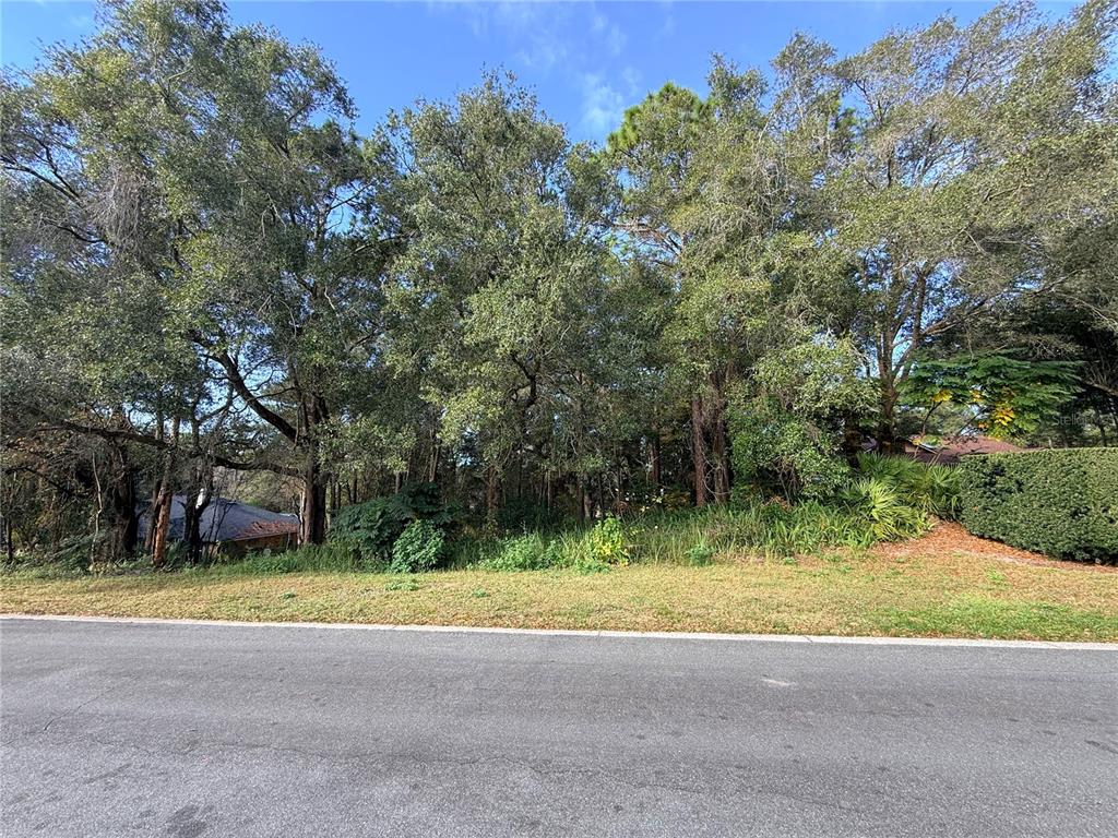 1482 Covered Bridge Drive DeLand, FL 32724 - Photo 1 of 6