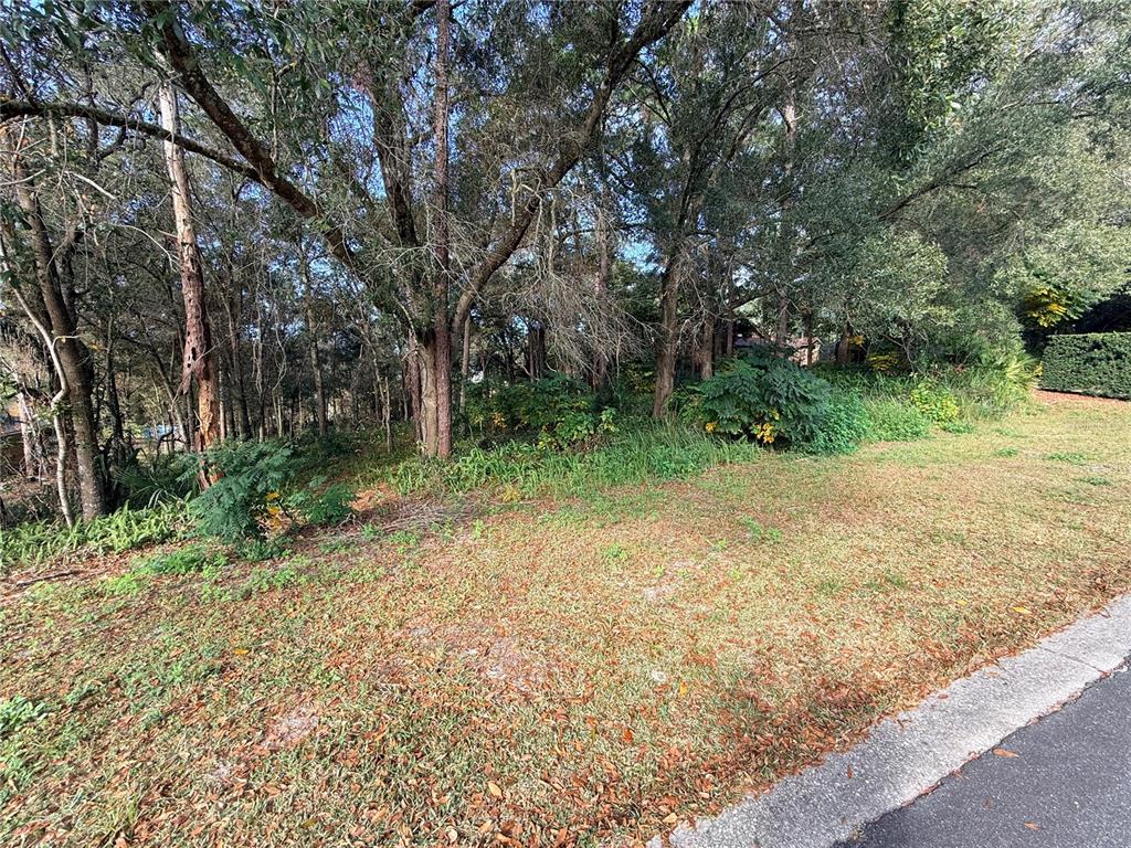 1482 Covered Bridge Drive DeLand, FL 32724 - Photo 2 of 6