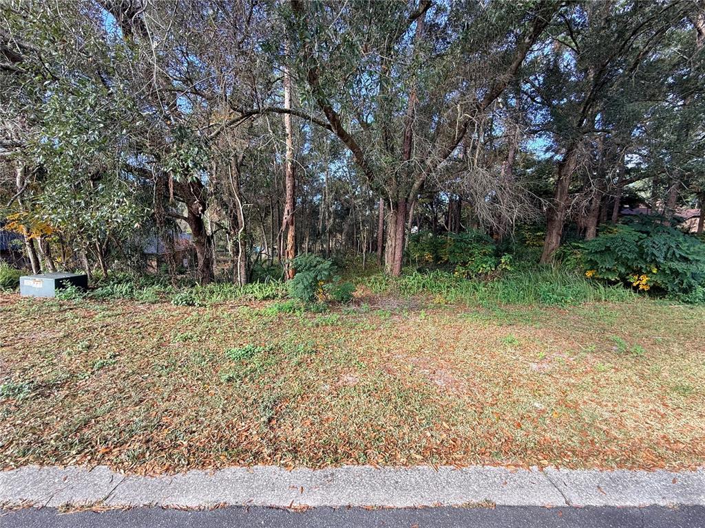 1482 Covered Bridge Drive DeLand, FL 32724 - Photo 3 of 6