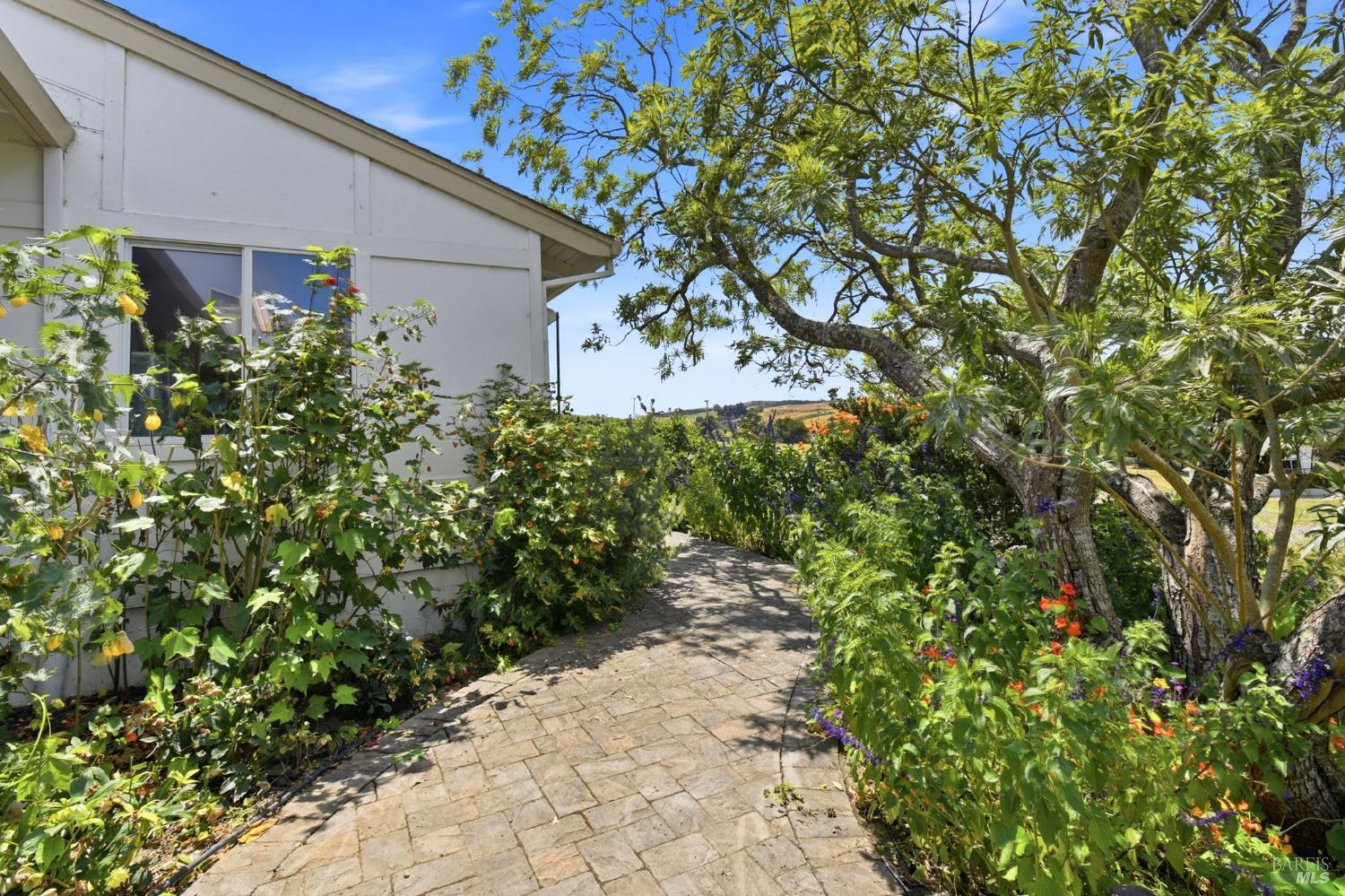 3223 Canfield Road Sebastopol, CA 95472 - Photo 3 of 58 Pathway to Front Door