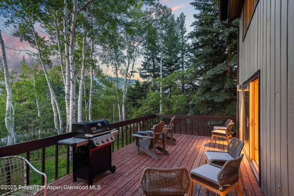 $35,000 | 28 Larkspur Lane, Aspen, CO 81611
