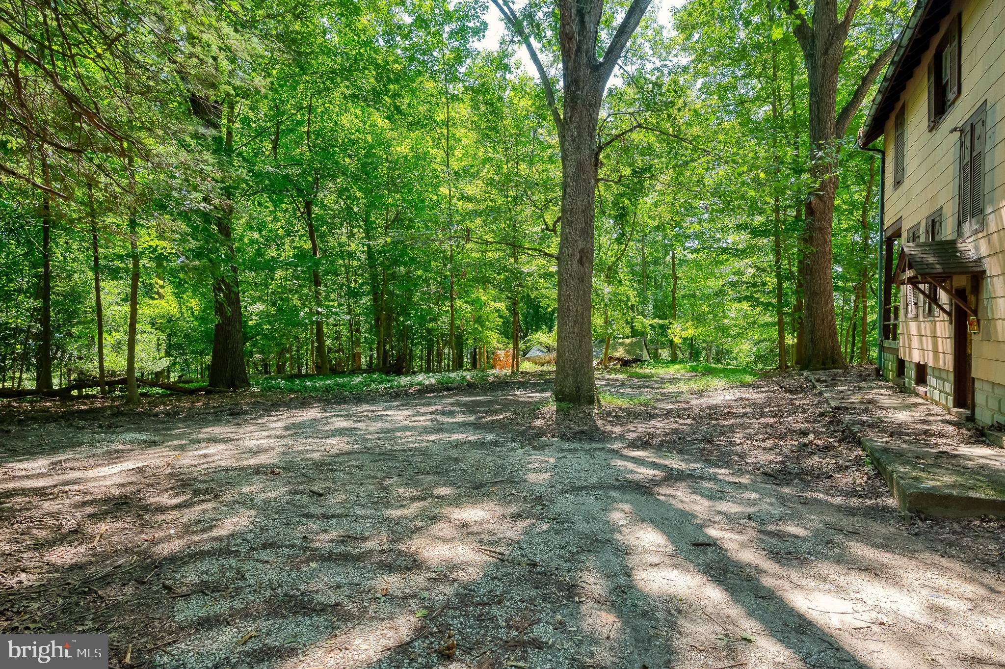 103 Sherwood Road Cockeysville, MD 21030 - Photo 58 of 59 a view of a tree in the middle of a yard
