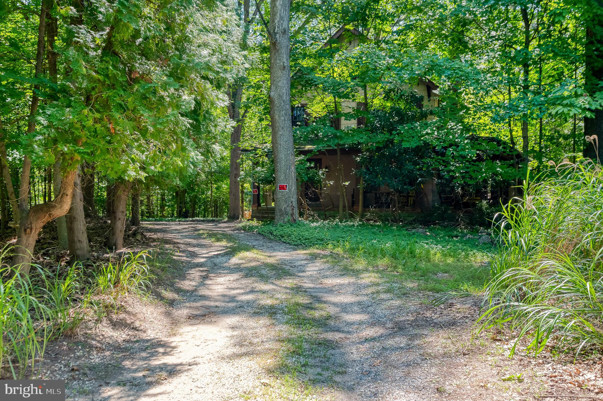 103 Sherwood Road Cockeysville, MD 21030 - Photo 59 of 59 a backyard of a house with lots of green space