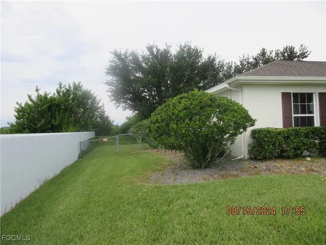 a view of a backyard with potted plants and large trees