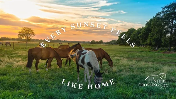 a view of a back yard