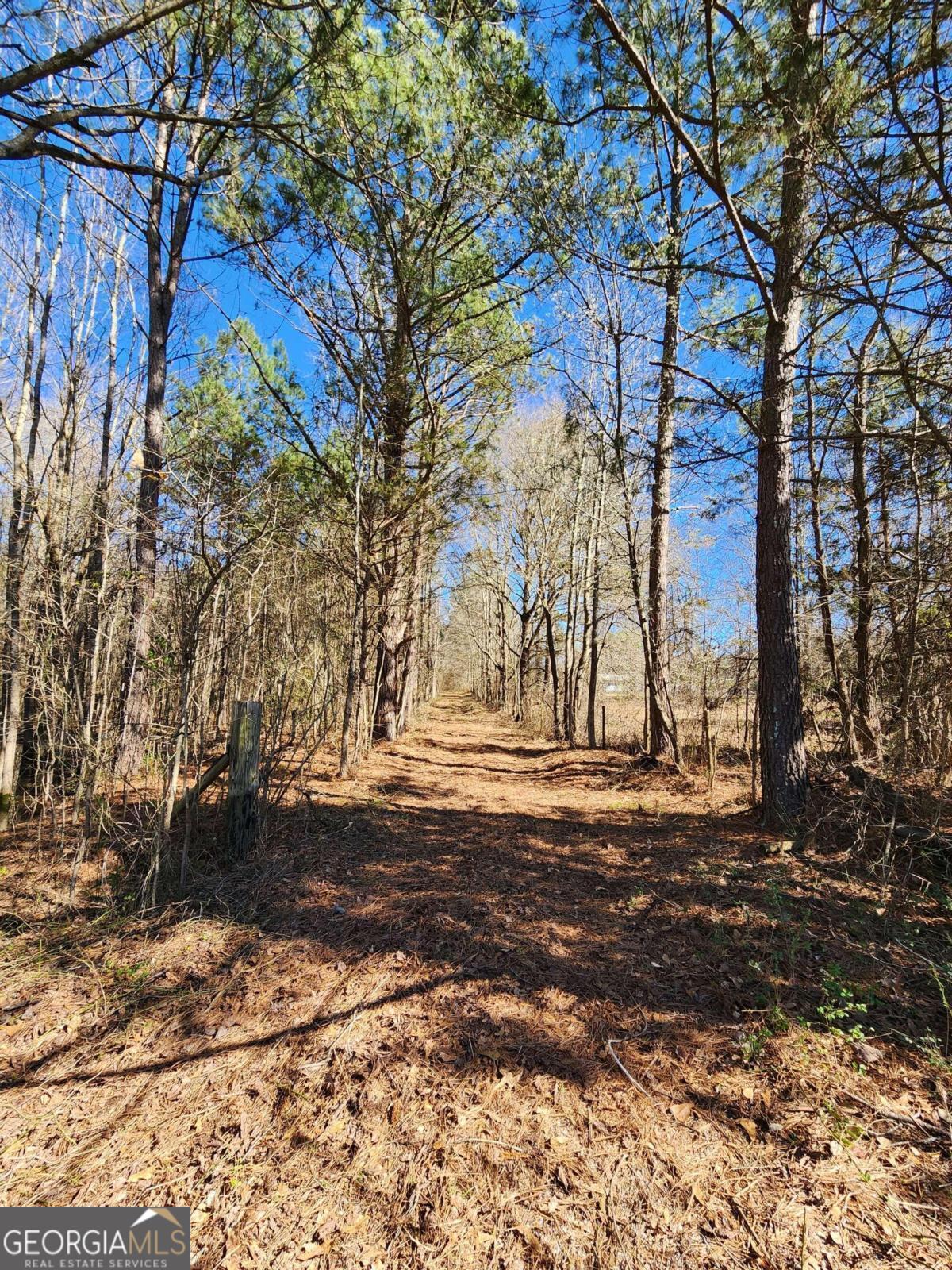 a view of dirt yard with a large tree
