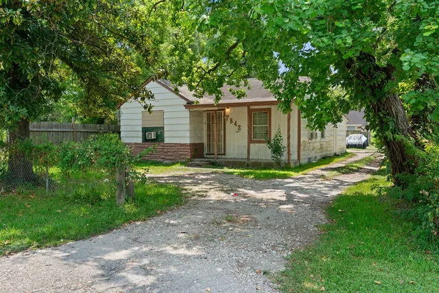 a backyard of a house with plants and large tree