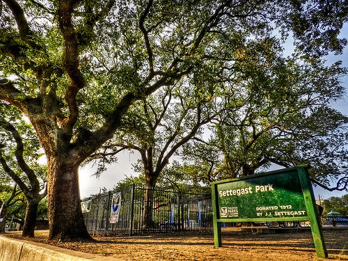 7842 Linda Vista Road Houston, TX 77028 - Photo 8 of 8 a view of a park that has large trees