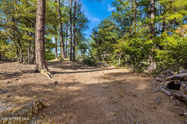a view of dirt yard with a trees