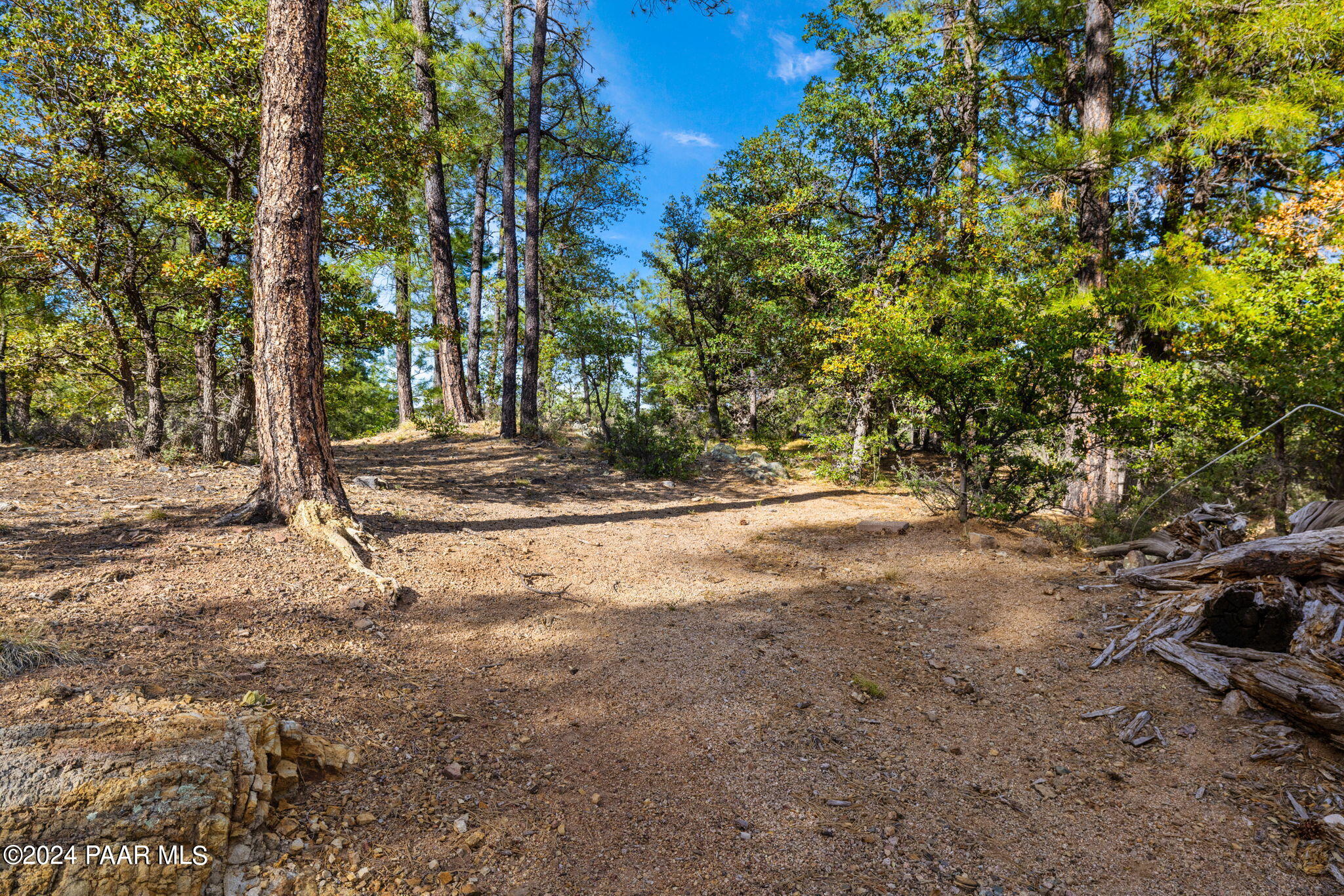 0 East Blue Jay Road Prescott, AZ 86303 - Photo 2 of 10 a view of dirt yard with a trees