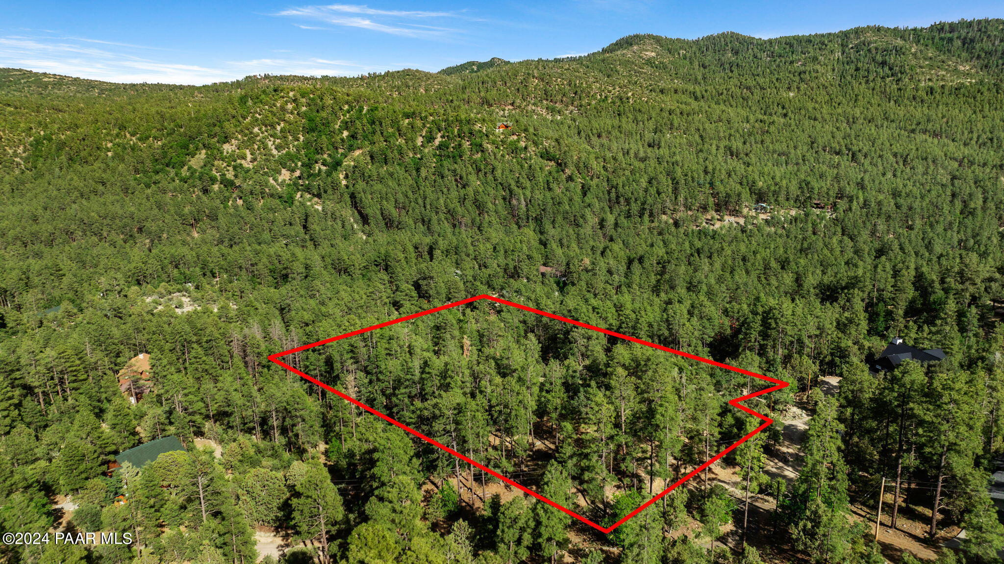 0 East Blue Jay Road Prescott, AZ 86303 - Photo 9 of 10 a view of a lush green forest with large trees
