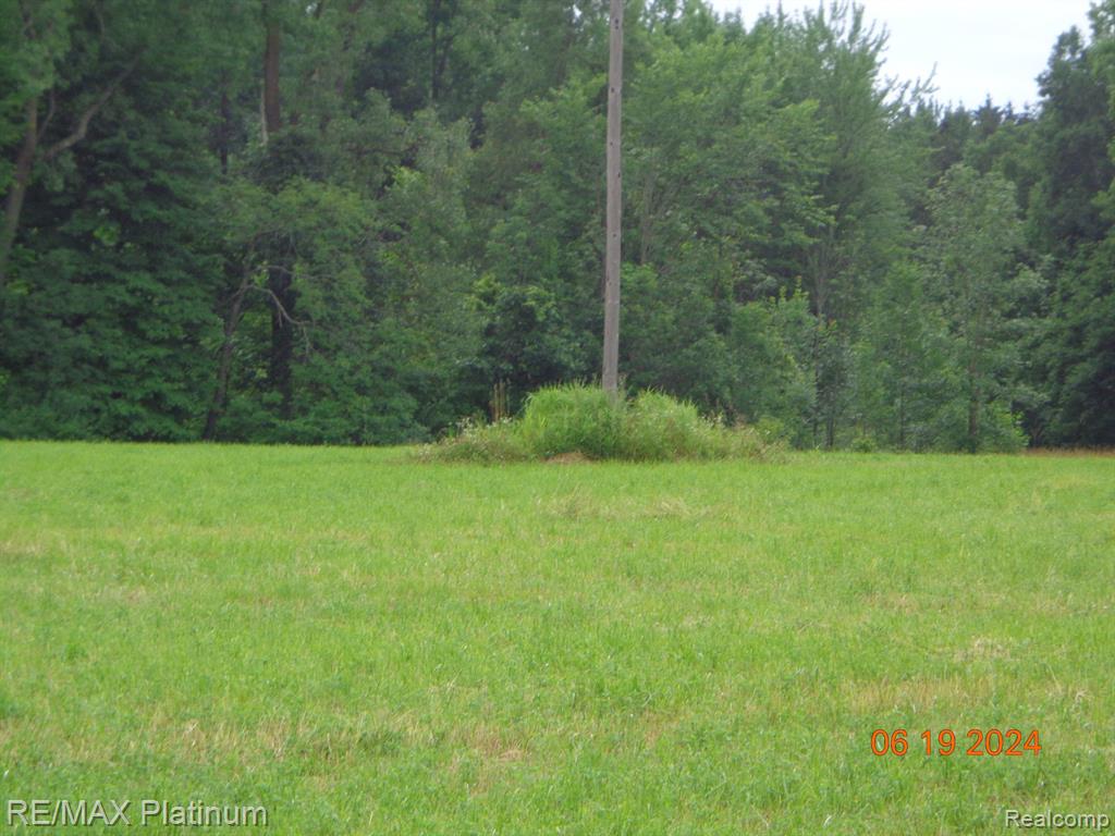 Vl Dwyer Road Howell, MI 48855 - Photo 2 of 7