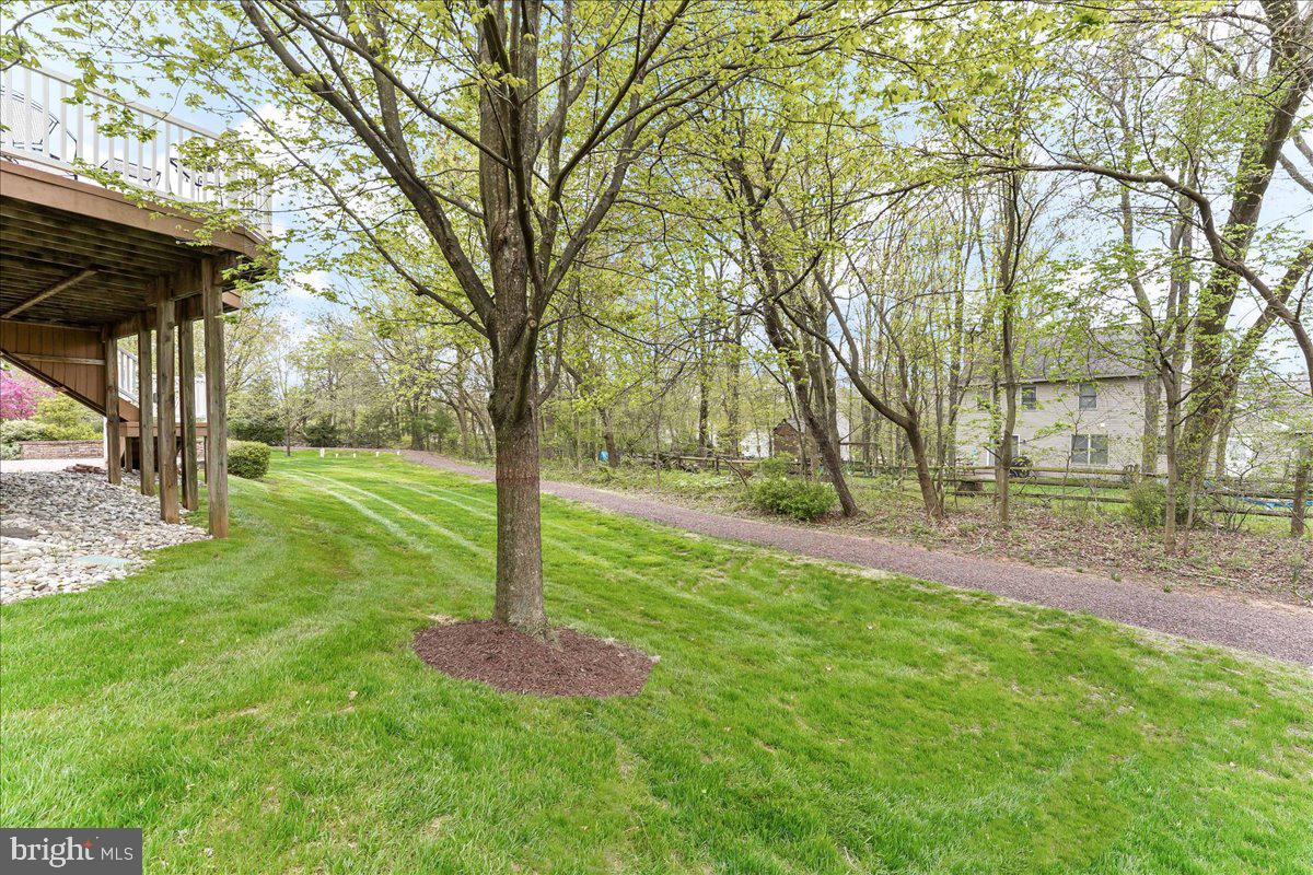 245 Hanover Road Phoenixville, PA 19460 - Photo 36 of 46 Back Yard
