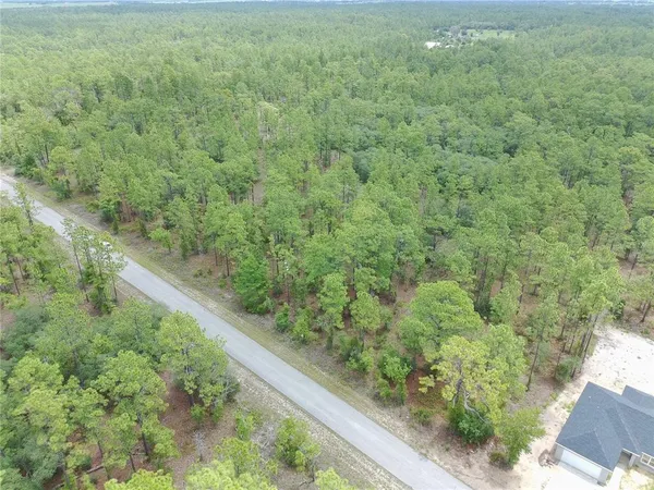 $12,000 | Southwest Buena Vista Road, Dunnellon, FL 34431
