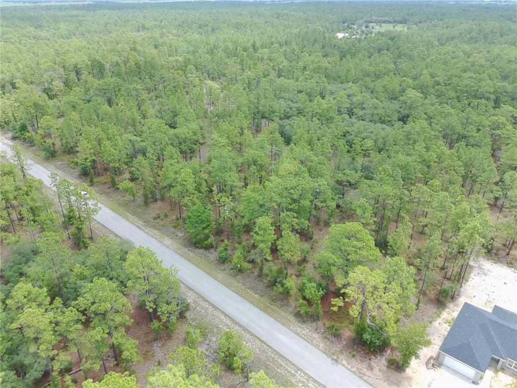 Southwest Buena Vista Road Dunnellon, FL 34431 - Photo 1 of 8