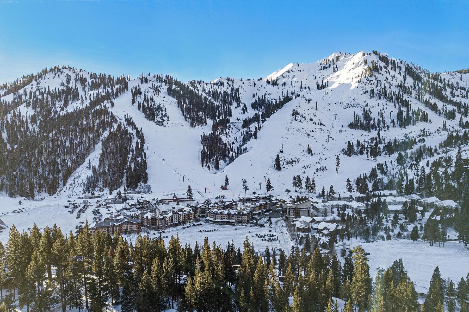 a view of a backyard of the house