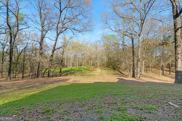 a view of a yard with a tree