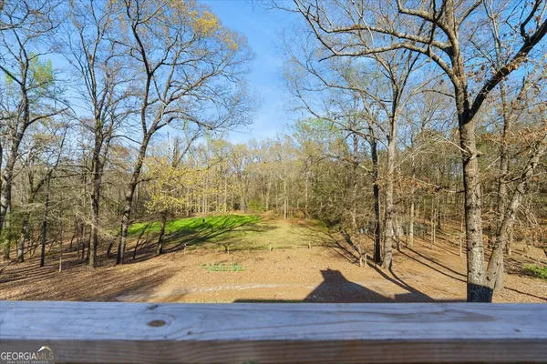 a view of yard with green space