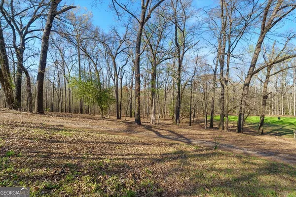 an aerial view of town with residential houses and trees